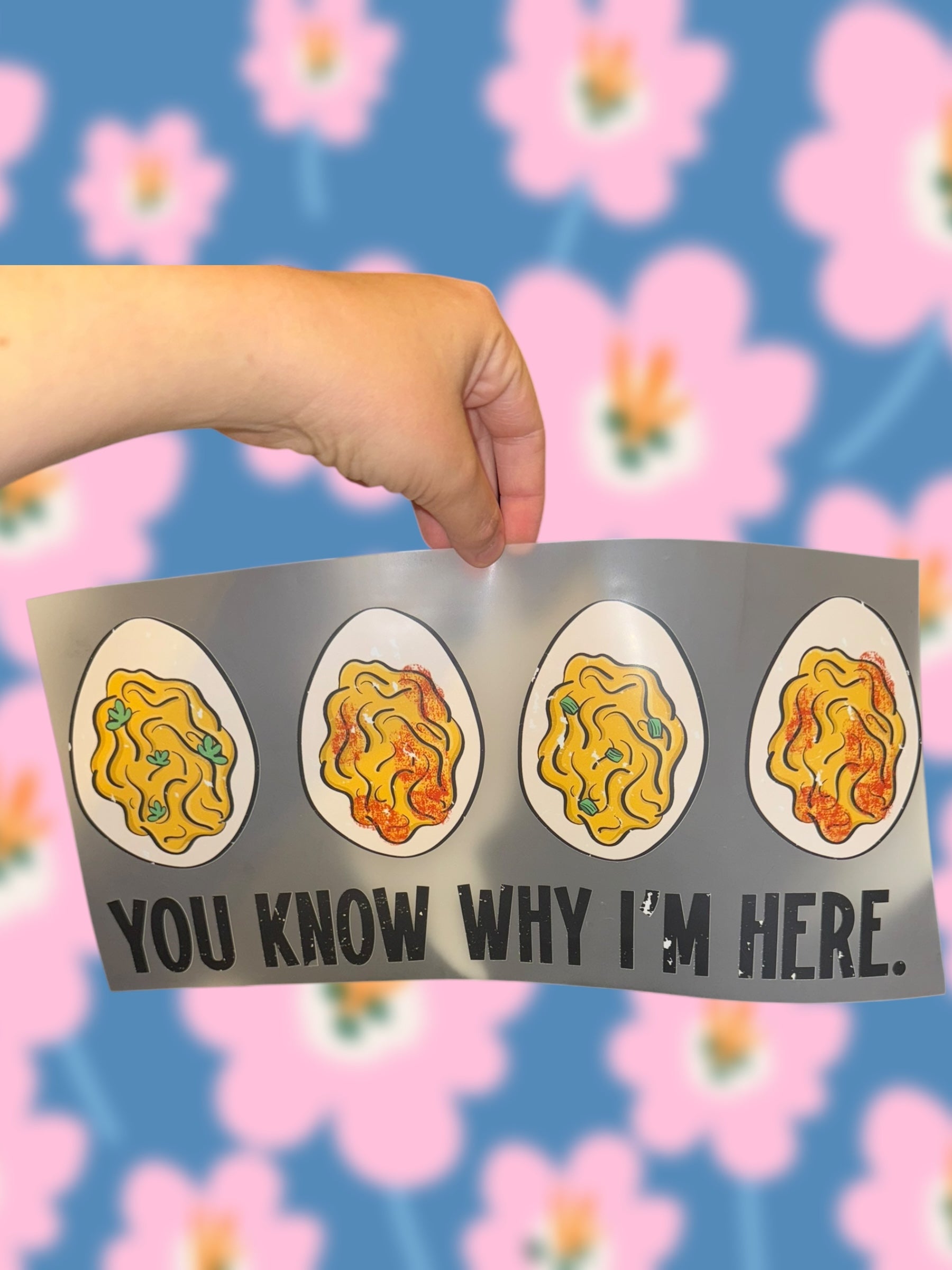 You Know Why I’m Here (adult L-4X)