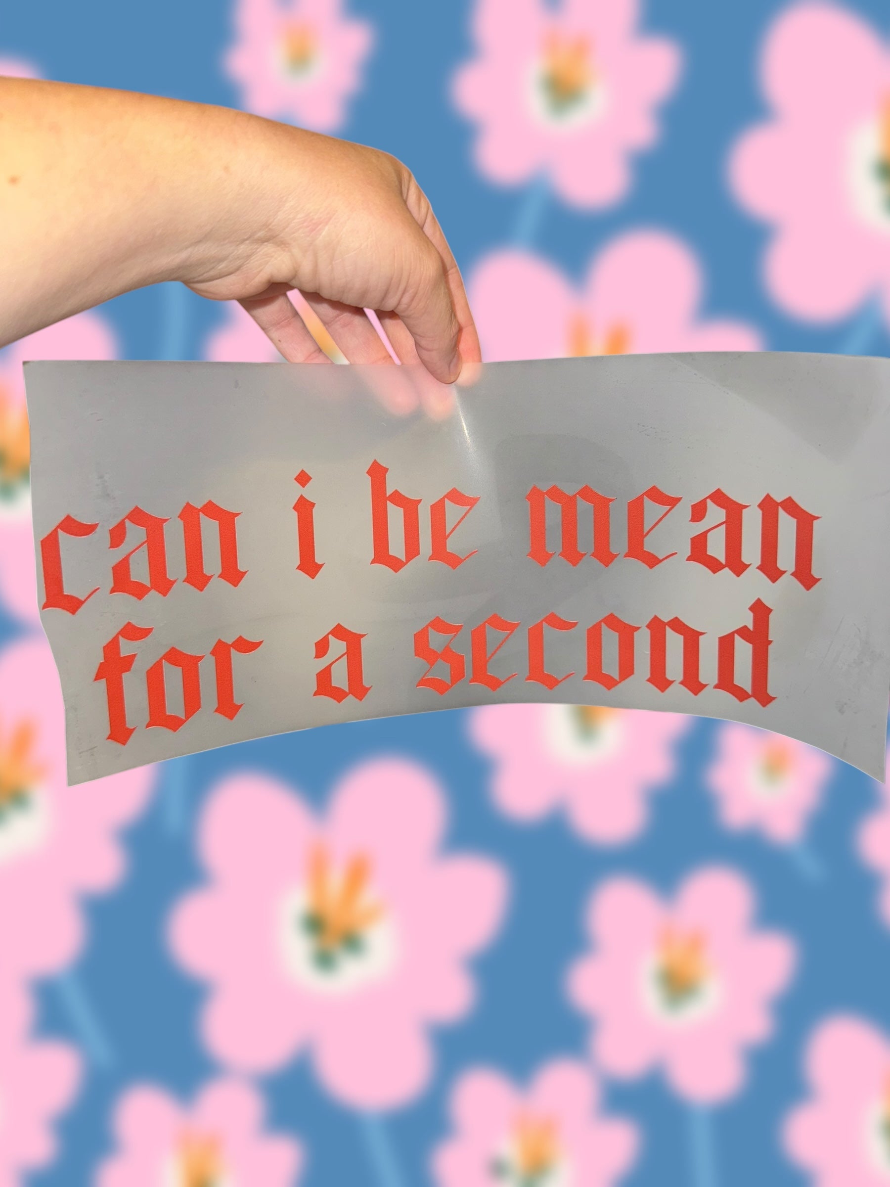 Can I Be Mean (adult L-4X)