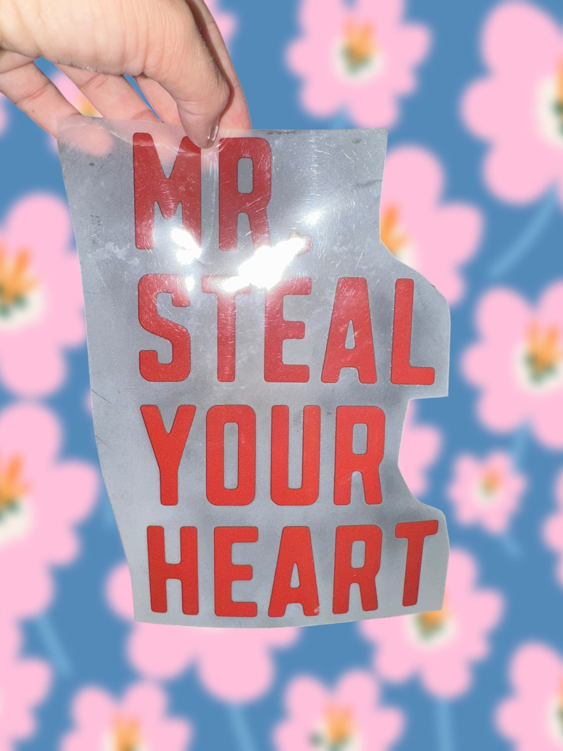 Mr. Steal Your Heart (toddler)