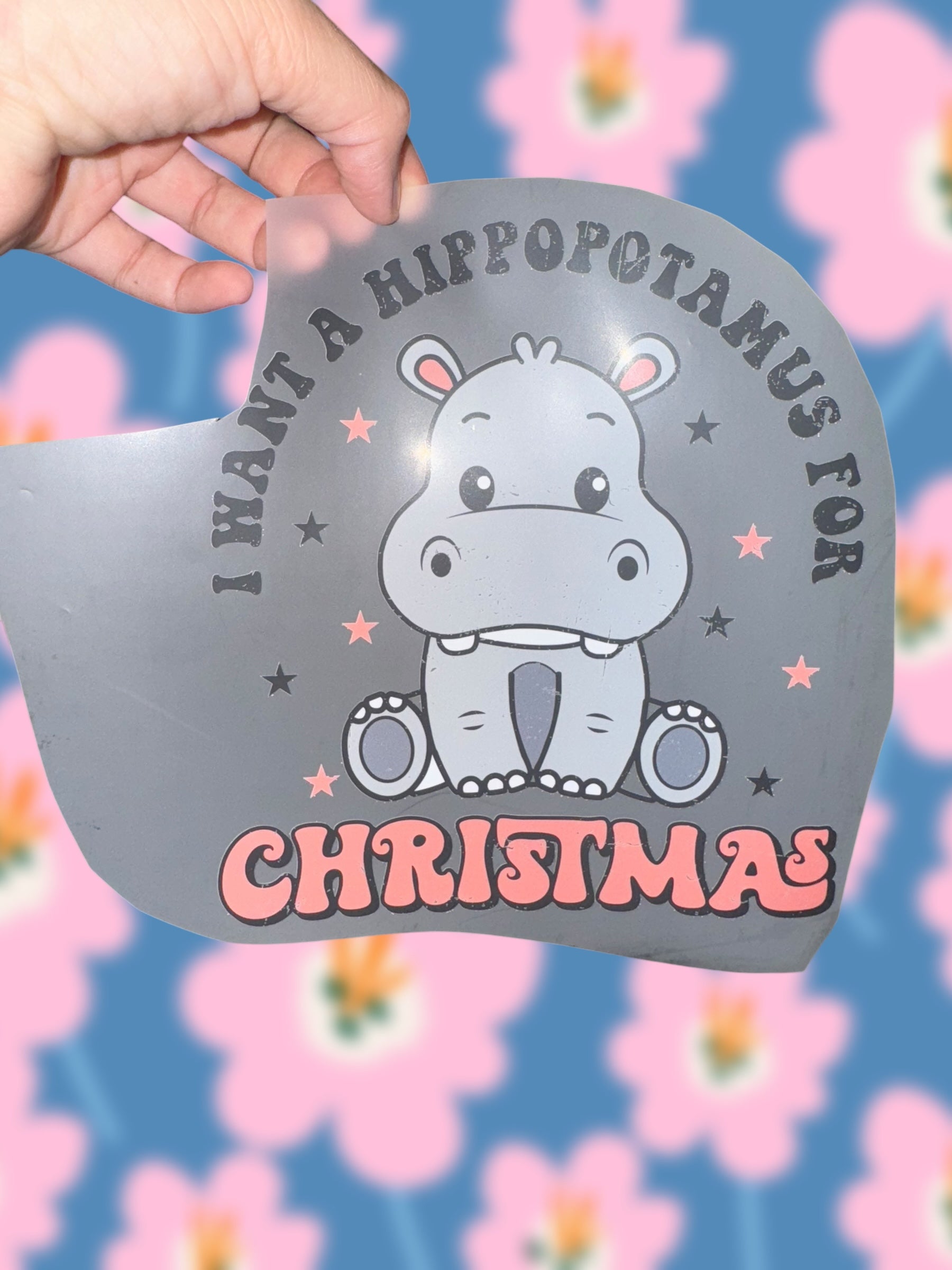 Hippo for Christmas (infant)